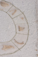 "Nature's Custodian", detail