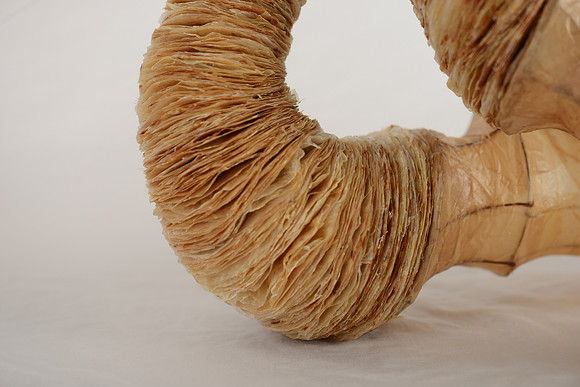"Diary of My Mind", detail