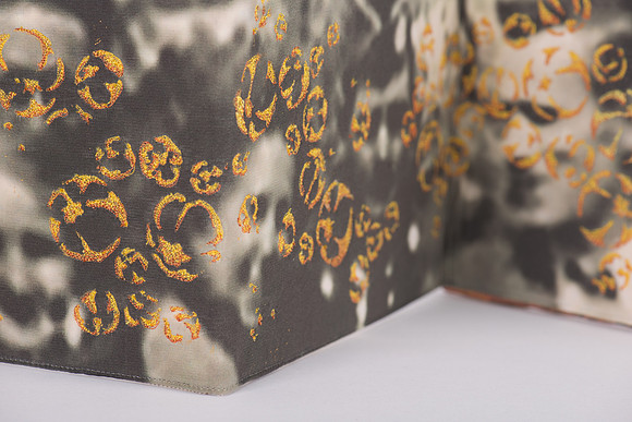 "Disperse", detail