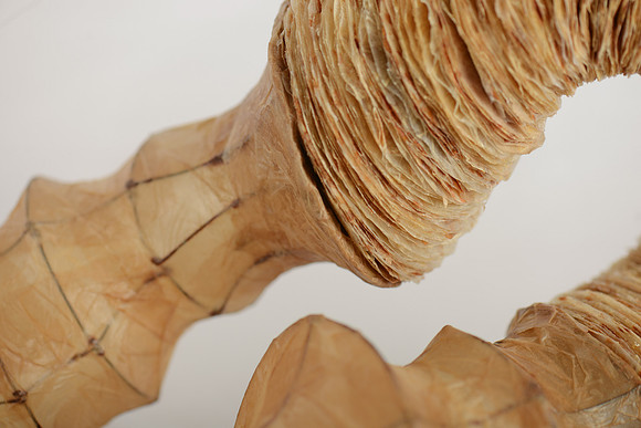 "Diary of My Mind", detail