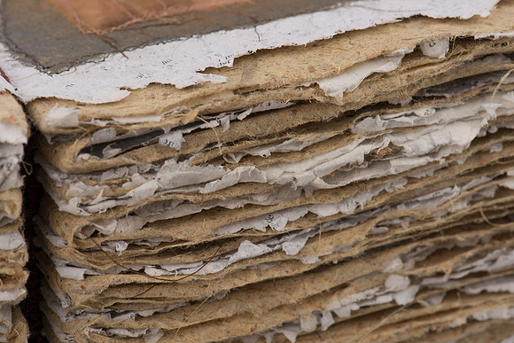 "Nature's Custodian", detail