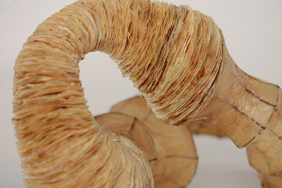 "Diary of My Mind", detail
