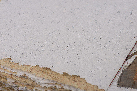 "Nature's Custodian", detail