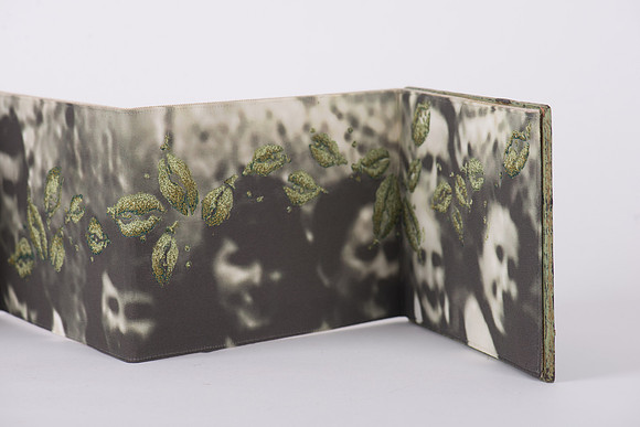 "Seedpods", detail