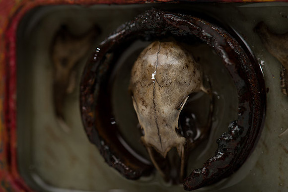 "Skull", detail