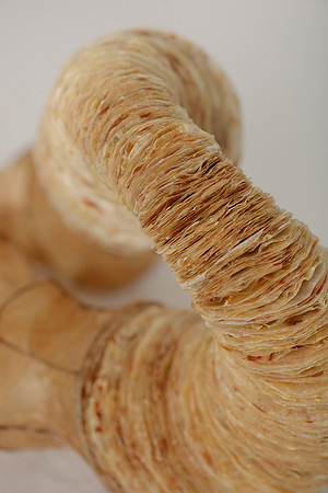 "Diary of My Mind", detail