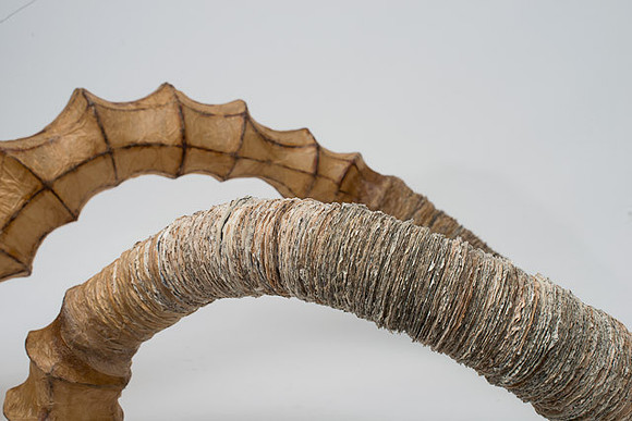 "Conductive Apparatus", detail