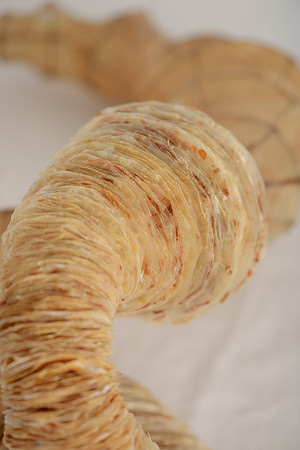 "Diary of My Mind", detail