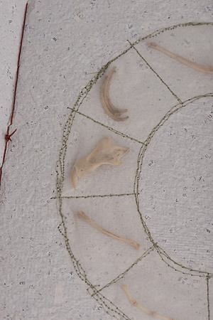 "Nature's Custodian", detail