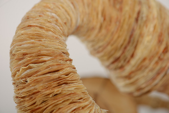 "Diary of My Mind", detail