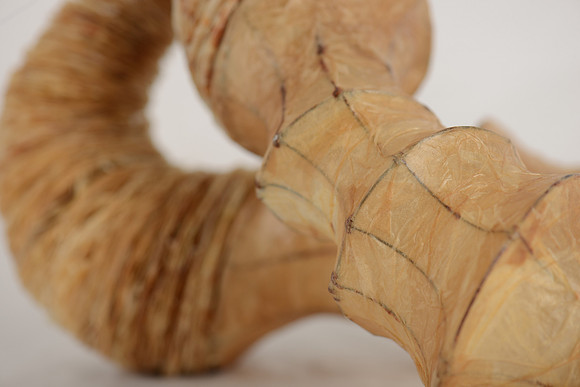"Diary of My Mind", detail