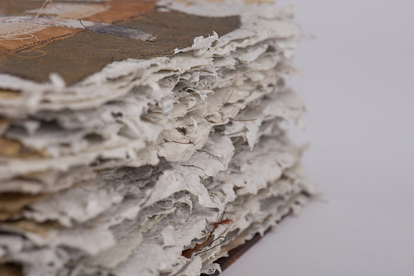 "Nature's Custodian", detail