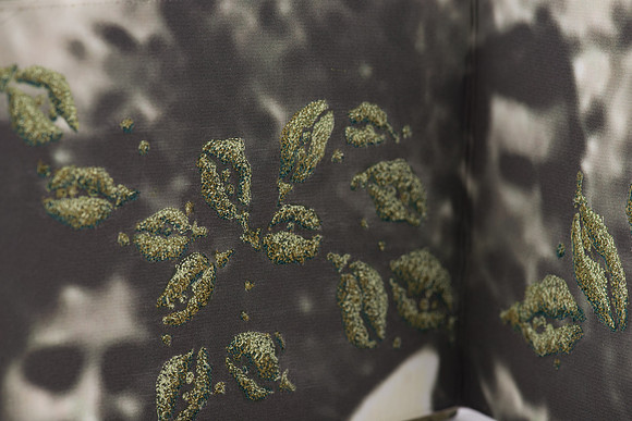 "Seedpods", detail