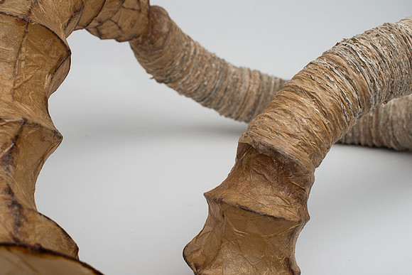 "Conductive Apparatus", detail