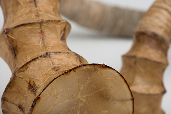 "Conductive Apparatus", detail