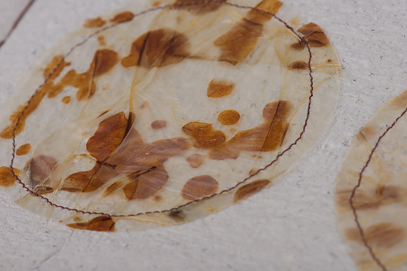 "Nature's Custodian", detail