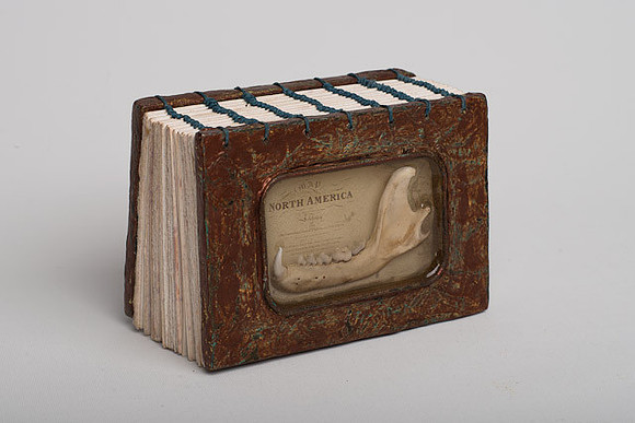 "Jawbone"
