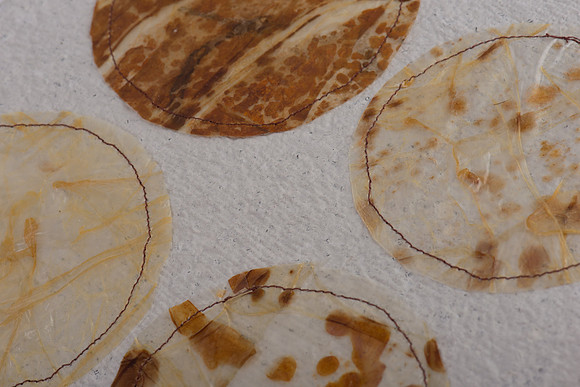 "Nature's Custodian", detail