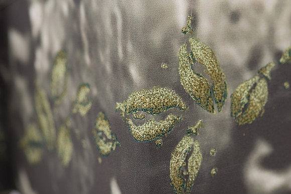 "Seedpods", detail