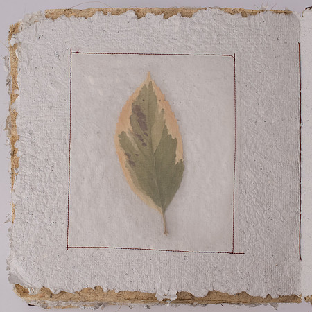"Nature's Custodian", detail