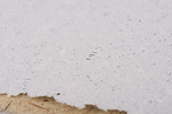 "Nature's Custodian", detail