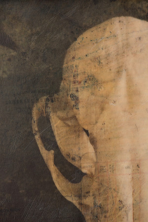 "Specimens", panel 6 detail