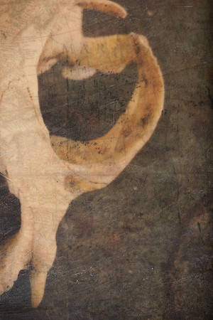 "Specimens", panel 3 detail