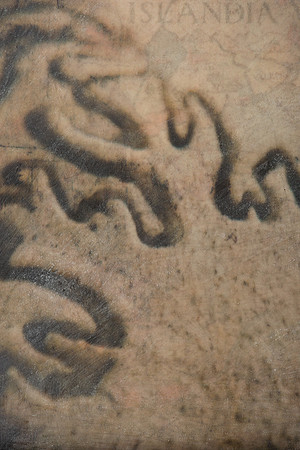 "Specimens", panel 2 detail