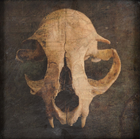 "Specimens", panel 3