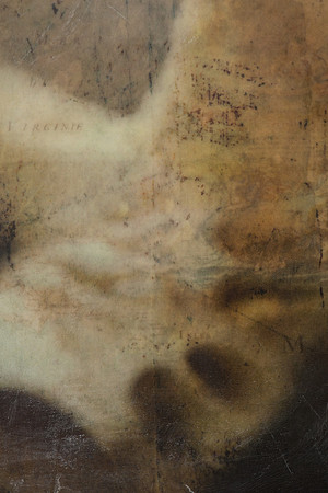 "Specimens", panel 7 detail