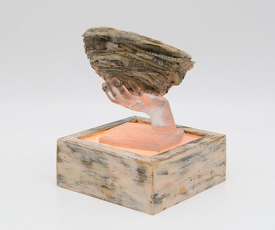 "Fragile Dwelling"