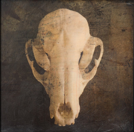 "Specimens", panel 6