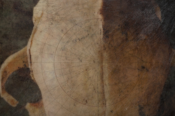 "Specimens", panel 13 detail