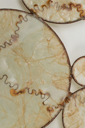 Veins, detail