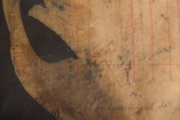 "Specimens", panel 5 detail