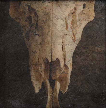 "Specimens", panel 15
