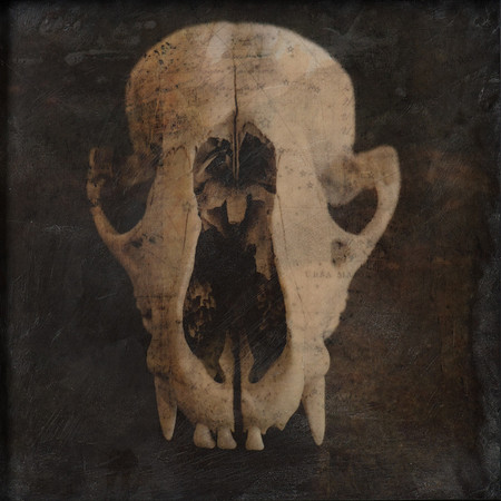 "Specimens", panel 12