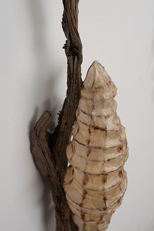 Cocoon, detail