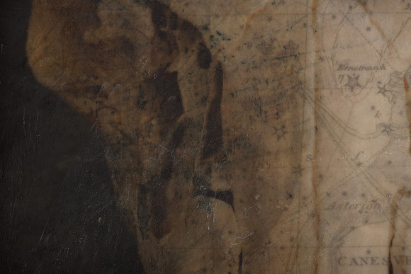 "Specimens", panel 15 detail