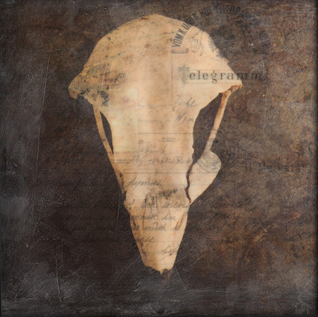 "Specimens", panel 10