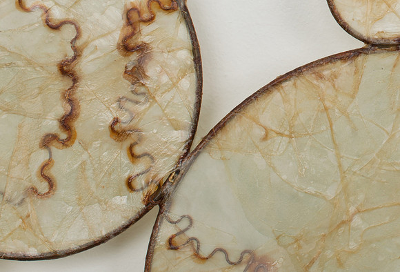Veins, detail