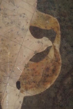 "Specimens", panel 1, detail