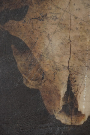 "Specimens", panel 1, detail