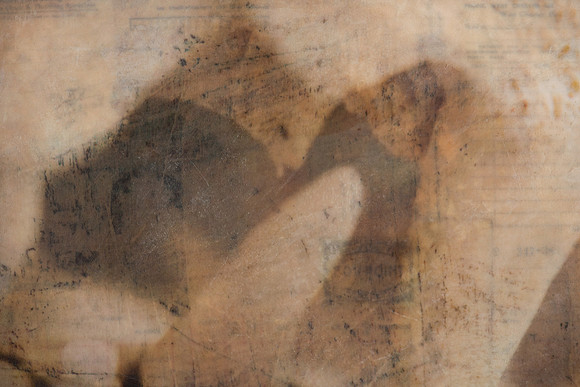 "Specimens", panel 9 detail