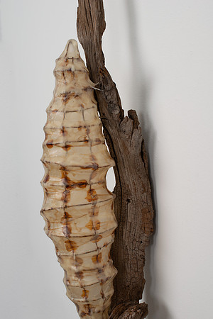 Cocoon, detail