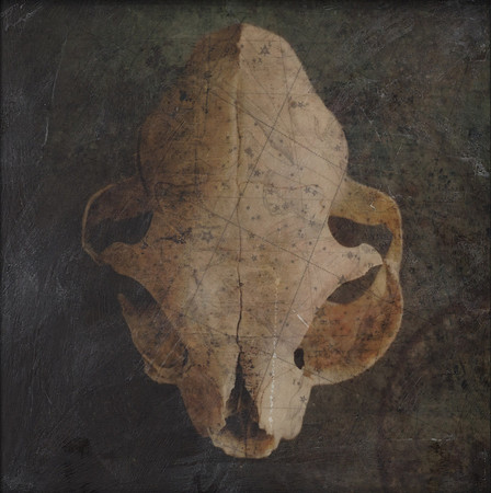 "Specimens", panel 1