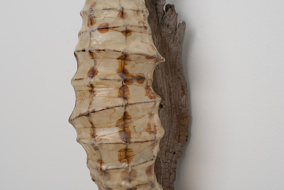 Cocoon, detail