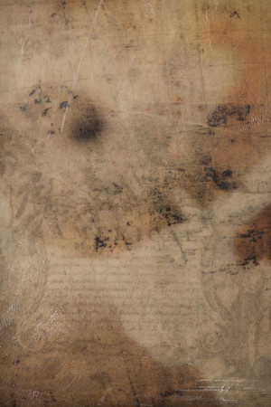 "Specimens", panel 4 detail
