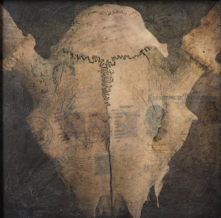 "Specimens", panel 11