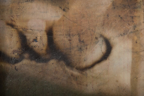 "Specimens", panel 9 detail